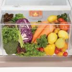 Bí quyết sử dụng tủ lạnh bảo quản rau mùa mưa