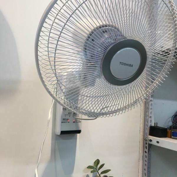 Quạt treo tường Nhật nội địa Toshiba TF-30RK24, mới 2021