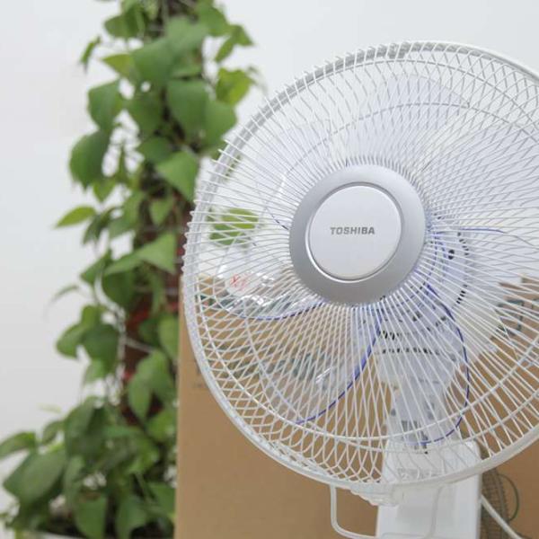Quạt treo tường Nhật nội địa Toshiba TF-30RK24, mới 2021