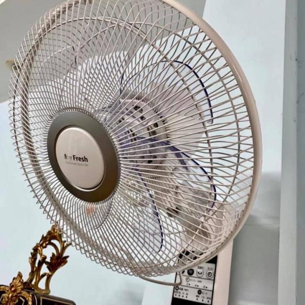 Quạt treo tường Nhật nội địa Toshiba TLF-30R22